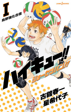 Haikyuu!! Shosetsuban 1: Trại huấn luyện Karasuno